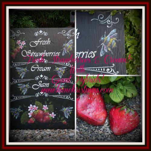 Fresh Strawberries & Cream! S16-1R